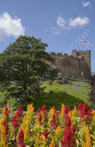 Tamworth Castle, flag and flowers